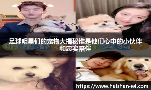 31399金沙娱场城在官网